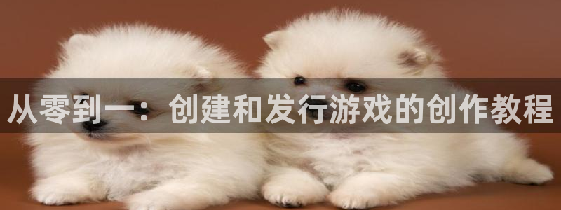 db电竞子市值：从零到一：创建和发行游戏的创作教程