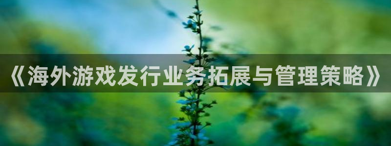 db电竞子的图片：《海外游戏发行业务拓展与管理策略》