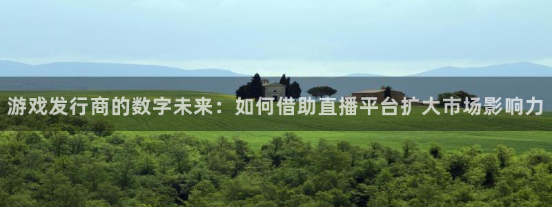 db电竞官网登录注册不了怎么办：游戏发行商的数字未来：如何借助直播平台扩大市场影响力