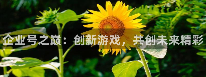 陕西db电竞子文化创意是干什么的