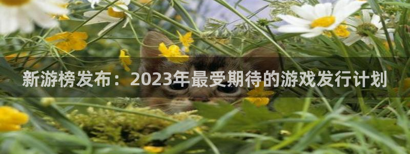 广东db电竞营销策划有限公司：新游榜发布：2023年最受期待的游戏发行计划