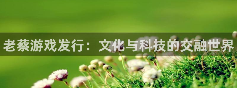 db电竞官网注册平台怎么注册账号：老蔡游戏发行：文化与科技的交融世界