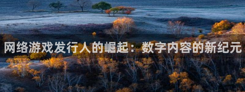db电竞红酒怎么样：网络游戏发行人的崛起：数字内容的新纪元