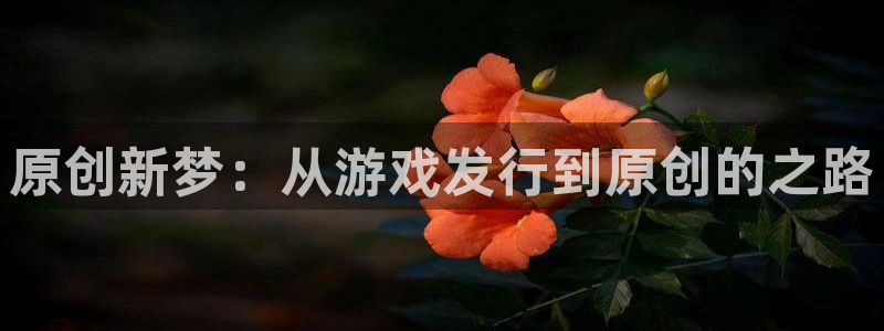 db电竞子文化创意做什么的