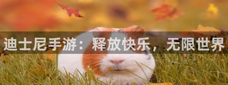 db电竞运动装有哪些品牌：迪士尼手游：释放快乐，无限世界