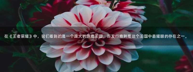db电竞服装品牌怎么样：在《王者荣耀》中，我们看到的是一个庞大的游戏王国，而发行商则是这个王国中最耀眼的存在之一。