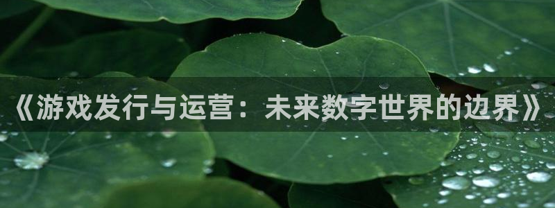 db电竞官网注册平台：《游戏发行与运营：未来数字世界的边界》