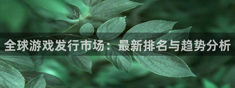 db电竞官网挂机项目怎么样