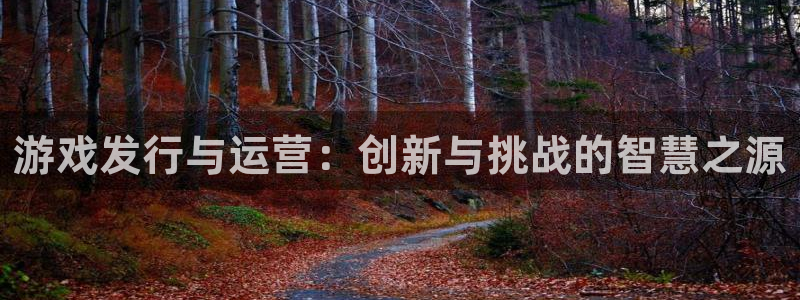 db电竞官网登录注册账号是什么意思：游戏发行与运营：创新与挑战的智慧之源